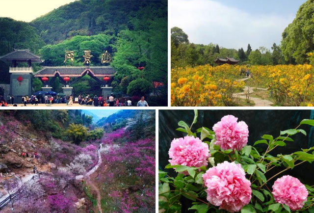 “春遊踏青季,團(tuán)建(jian)收心時“山(shān)美特2018春季團(tuán)建(jian)活動(dòng)及(ji)場(chang)地推薦13.jpg